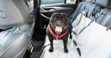 Protect Your Car Interior with Style: The Ultimate Guide to Waterproof Dog Car Seat Covers